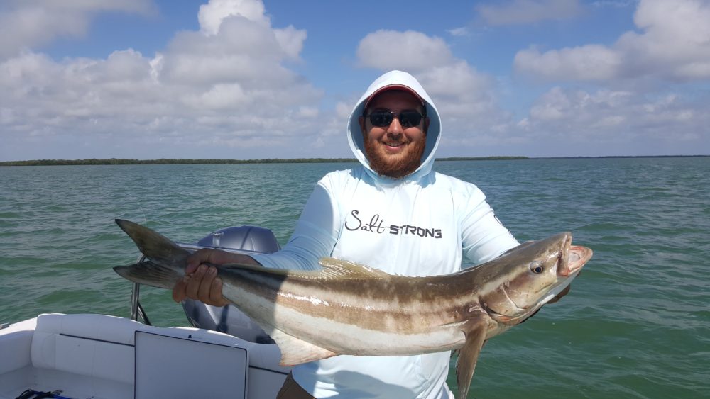 20160521_162227-1000x563 (1)