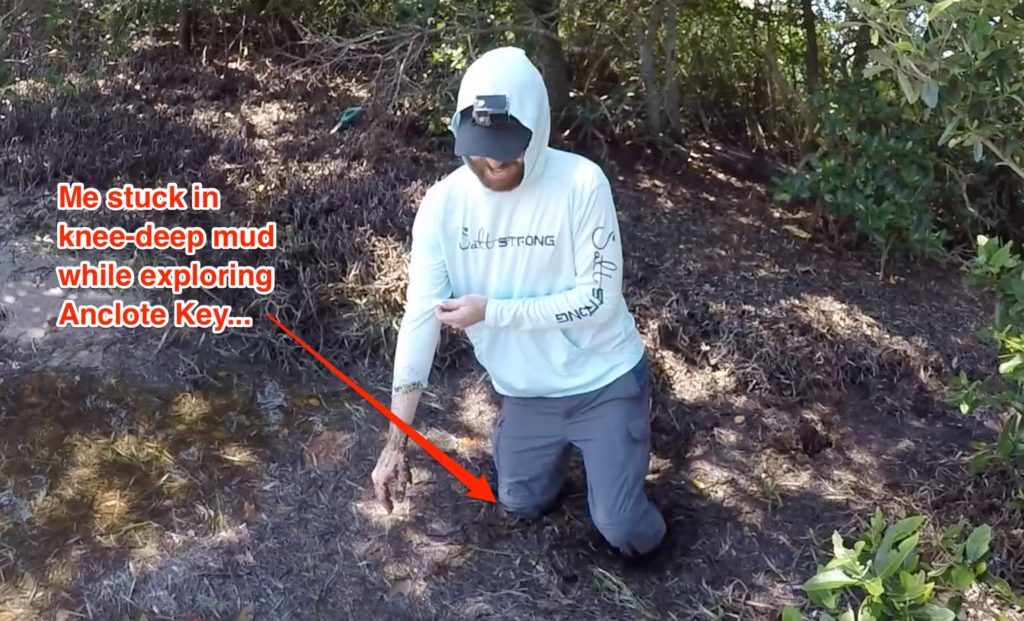 Hiking Anclote Key