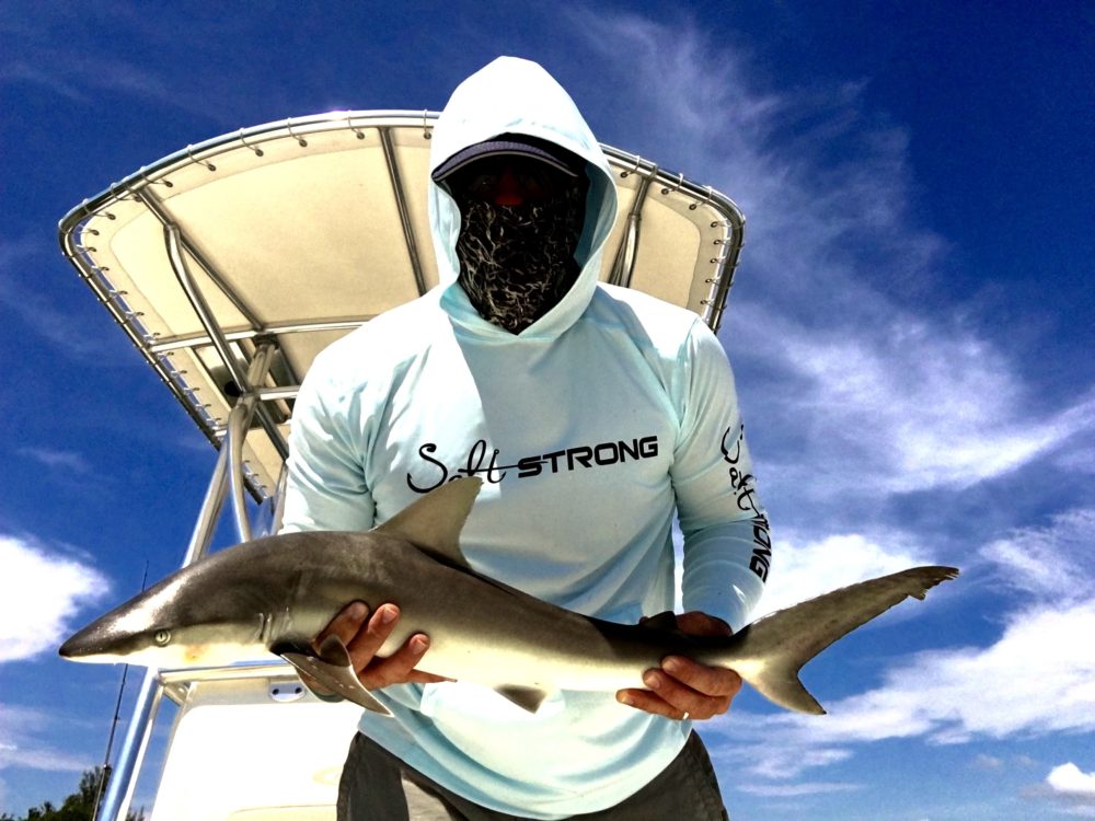 saltwater fish high in mercury