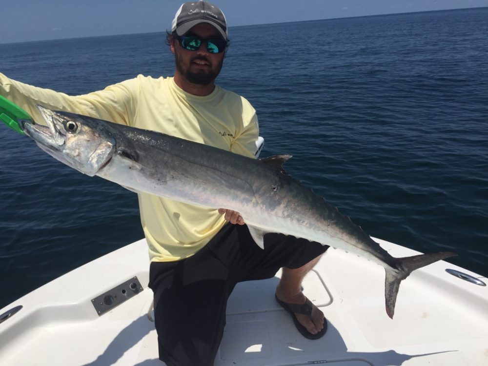 king mackerel high in mercury