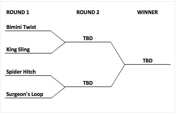 line-doubling-contest-bracket