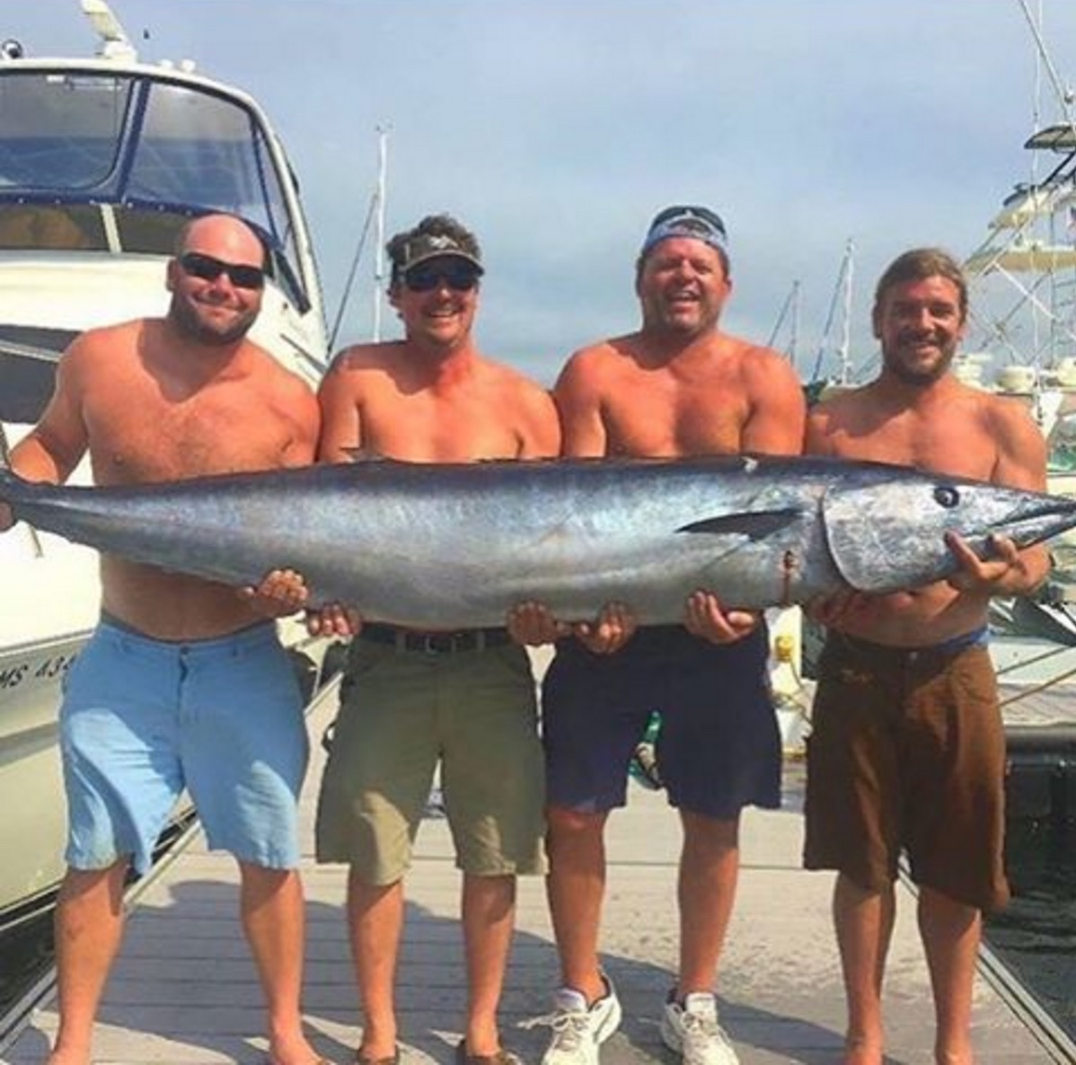 artificial vs live bait