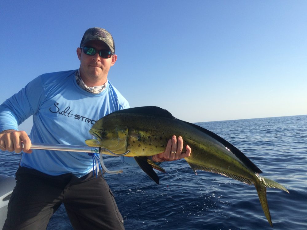 saltwater fish high in mercury