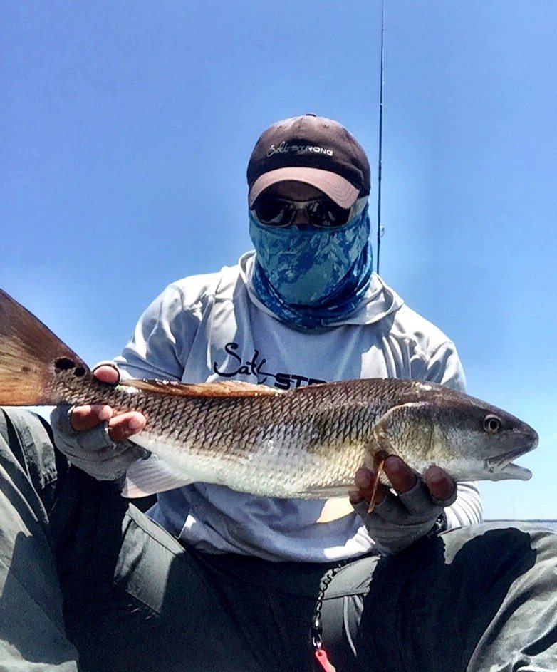 tagged redfish