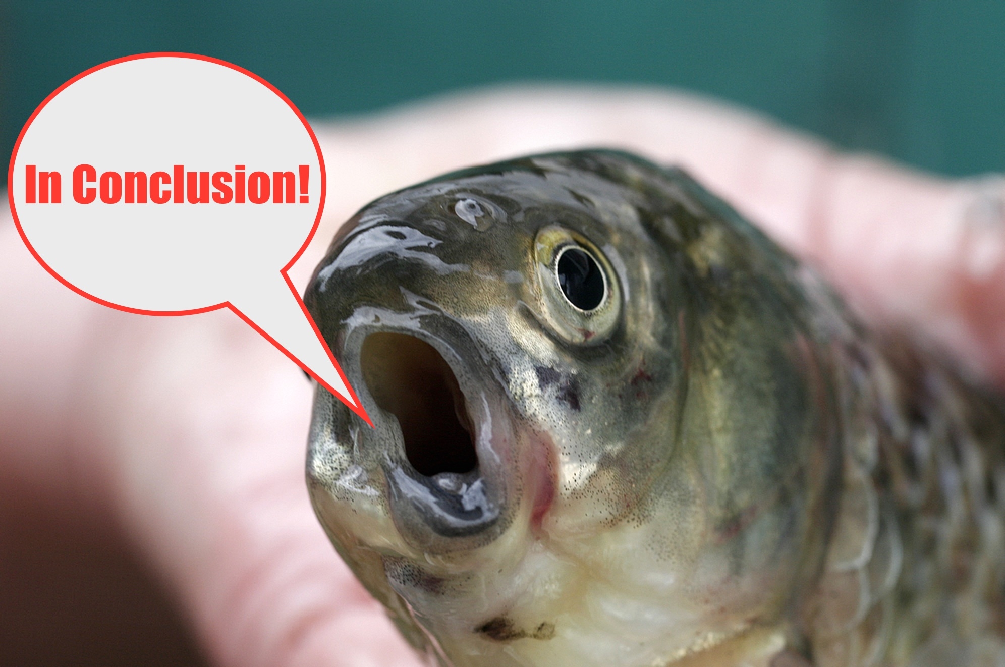 list of saltwater fishing grand slams