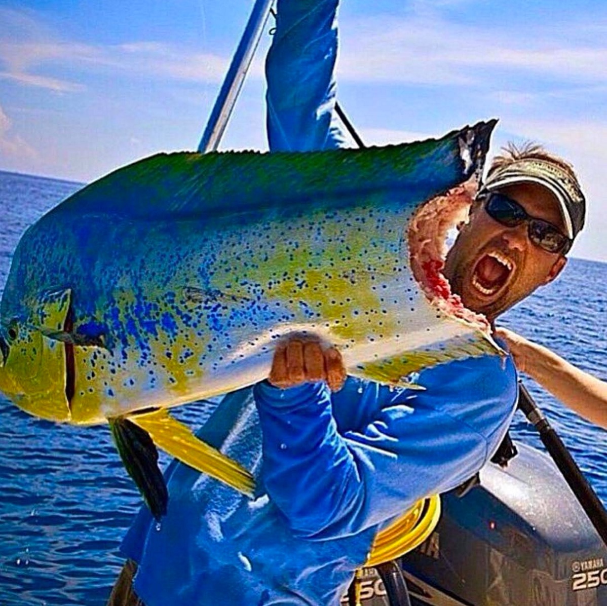 best mahi mahi recipes