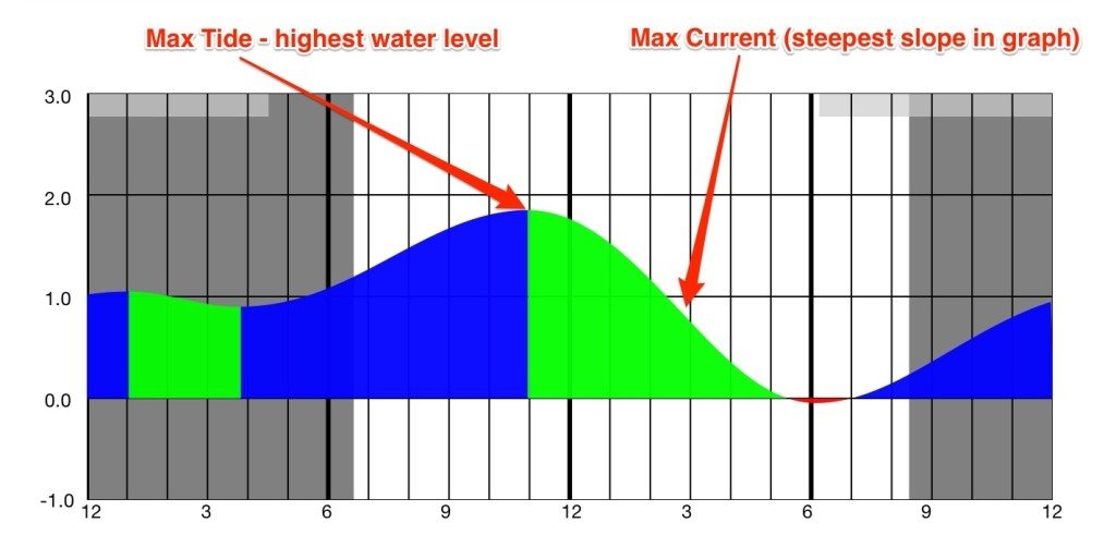 max tide and current graph