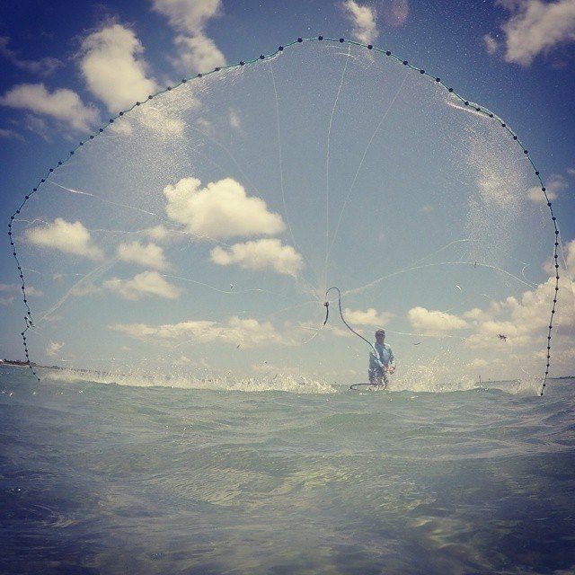 artificial lures vs live bait