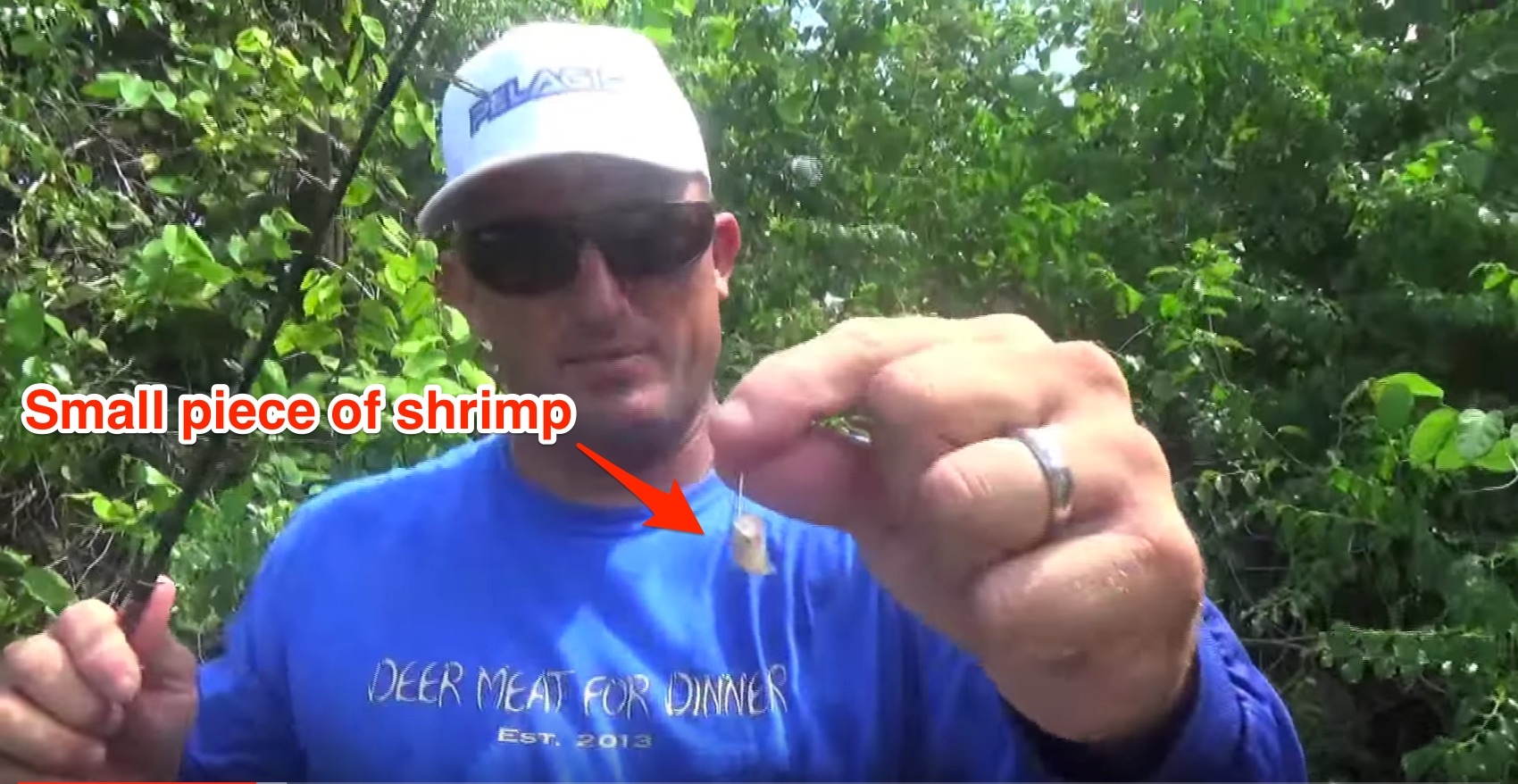 how to catch pufferfish