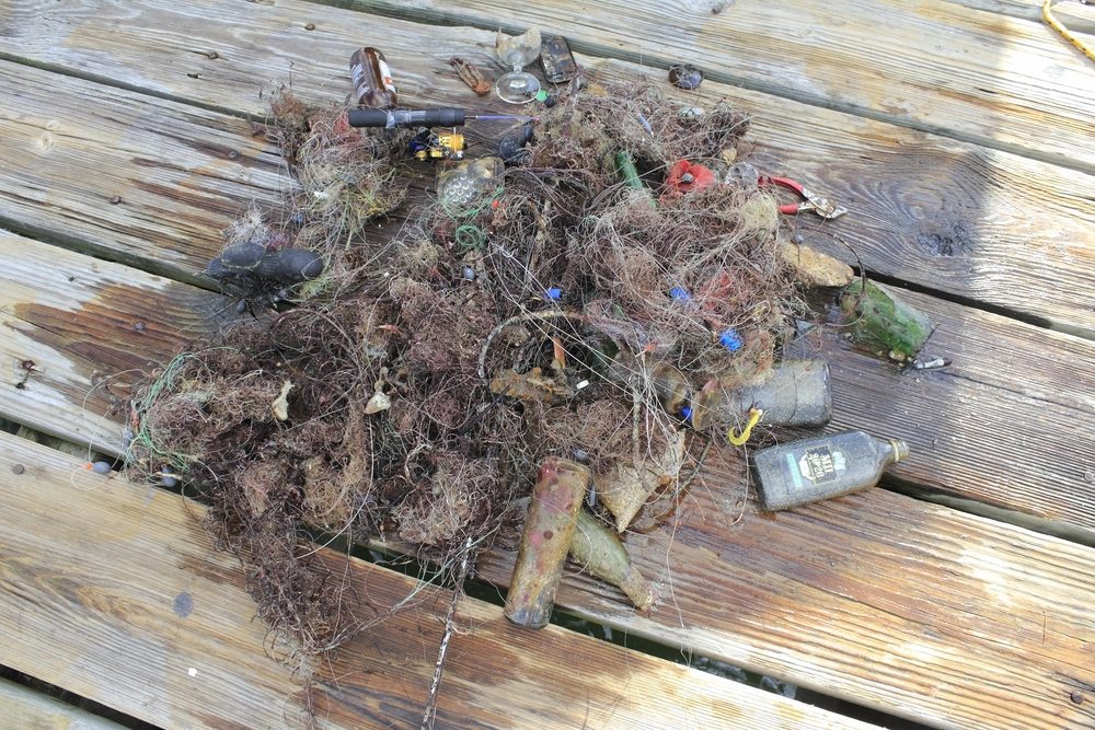 biodegradable fishing lures