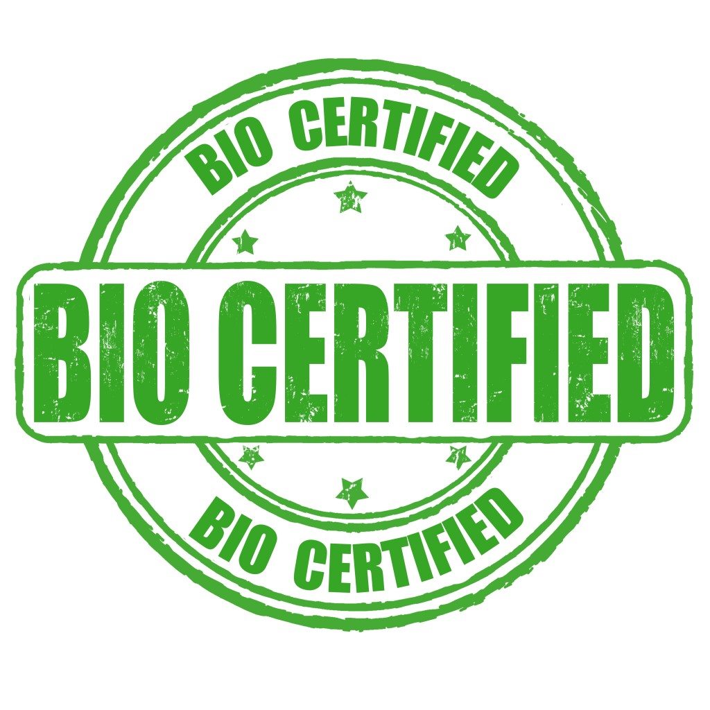 biodegradable fishing lures