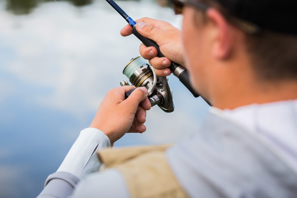 live bait vs artificial lures