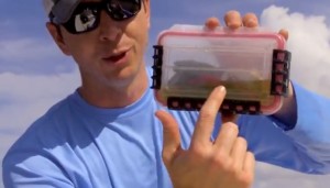 how steve jobs can help fishermen