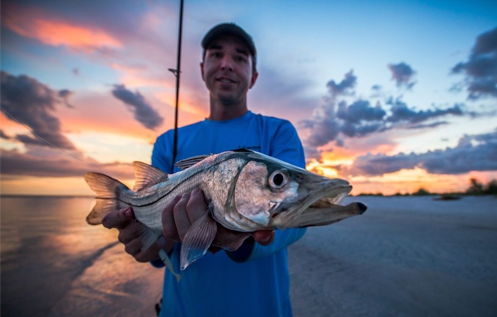 sebastian inlet snook