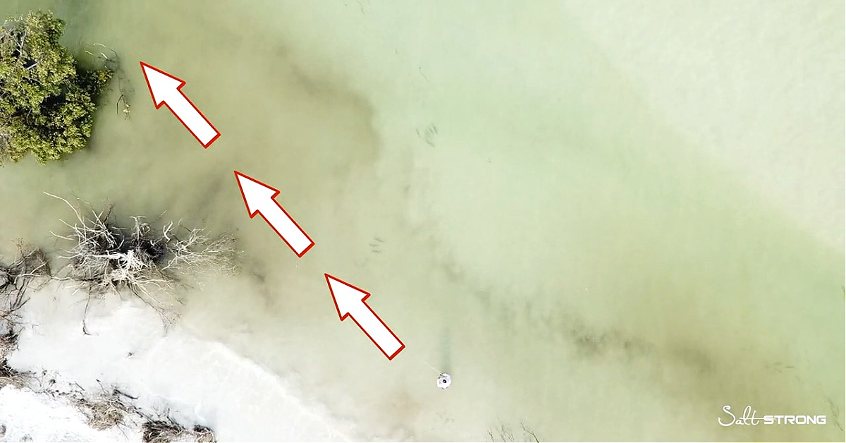 #1%20wade%20fishing%20mistake