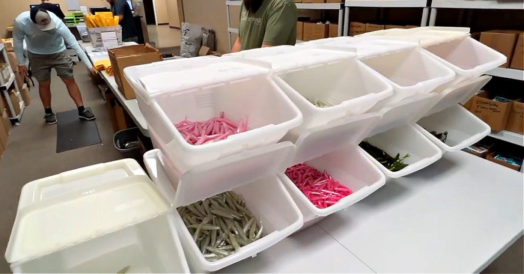 11 lures for one penny