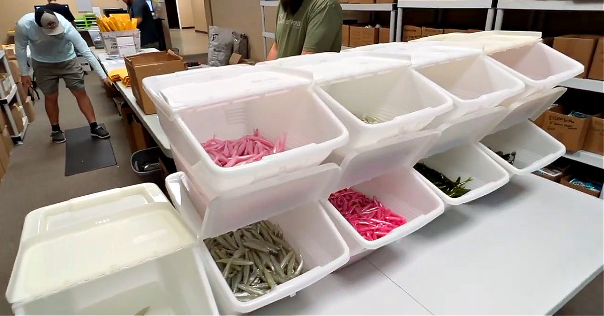 http://11%20lures%20for%20one%20penny