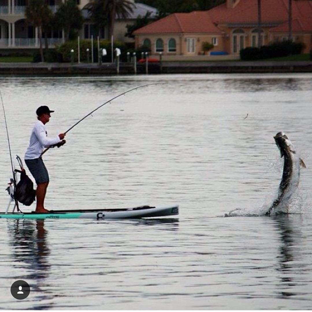 saltwater paddle board fishing