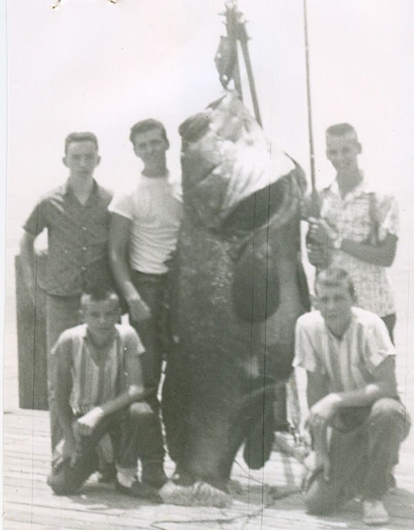 goliath grouper on dock