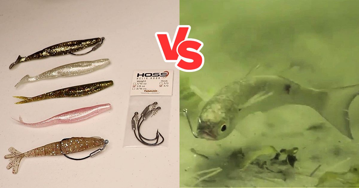 http://live%20bait%20vs%20lures