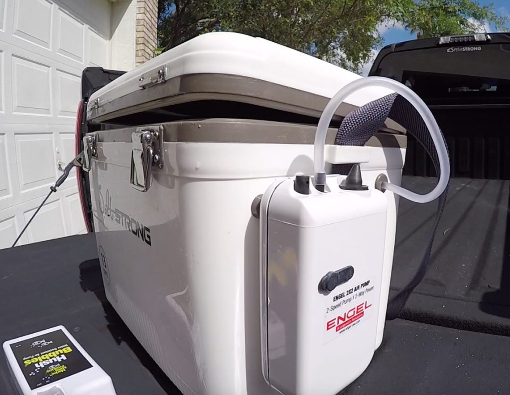 engel live bait cooler