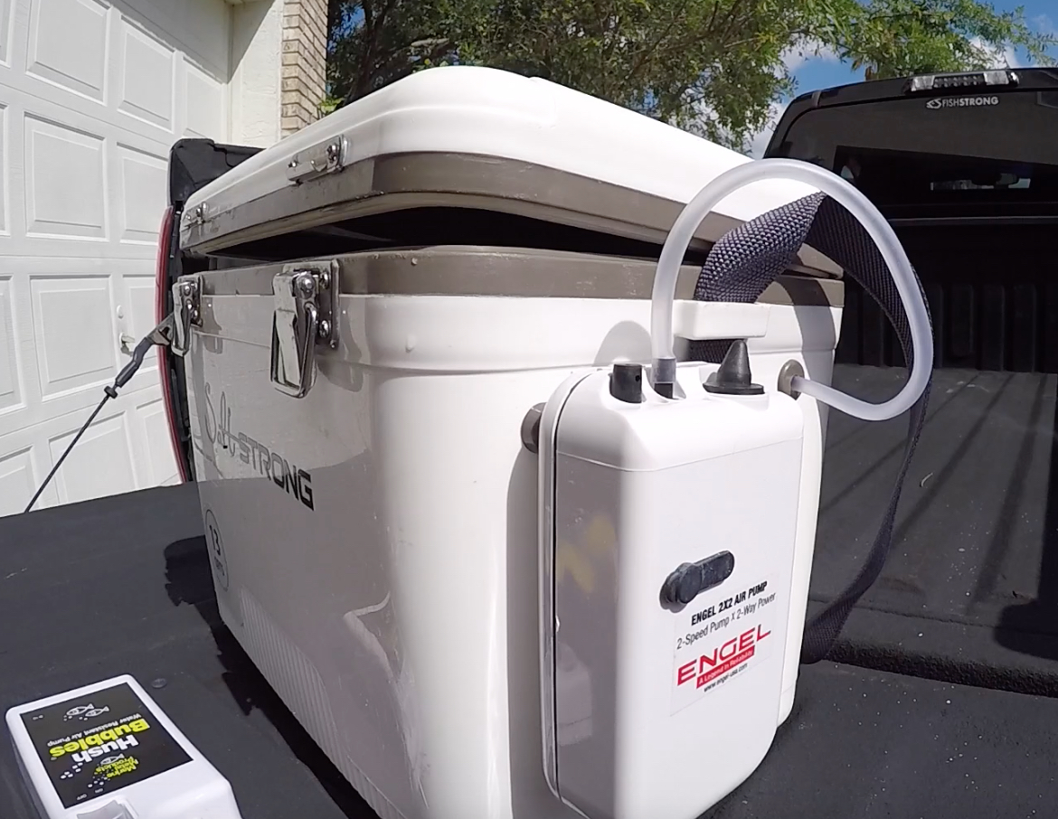 engel live bait cooler