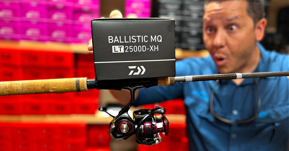 http://daiwa%20ballistic%20mq%20spinning%20reel