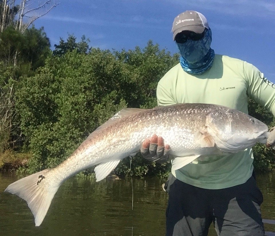 bull redfish catch