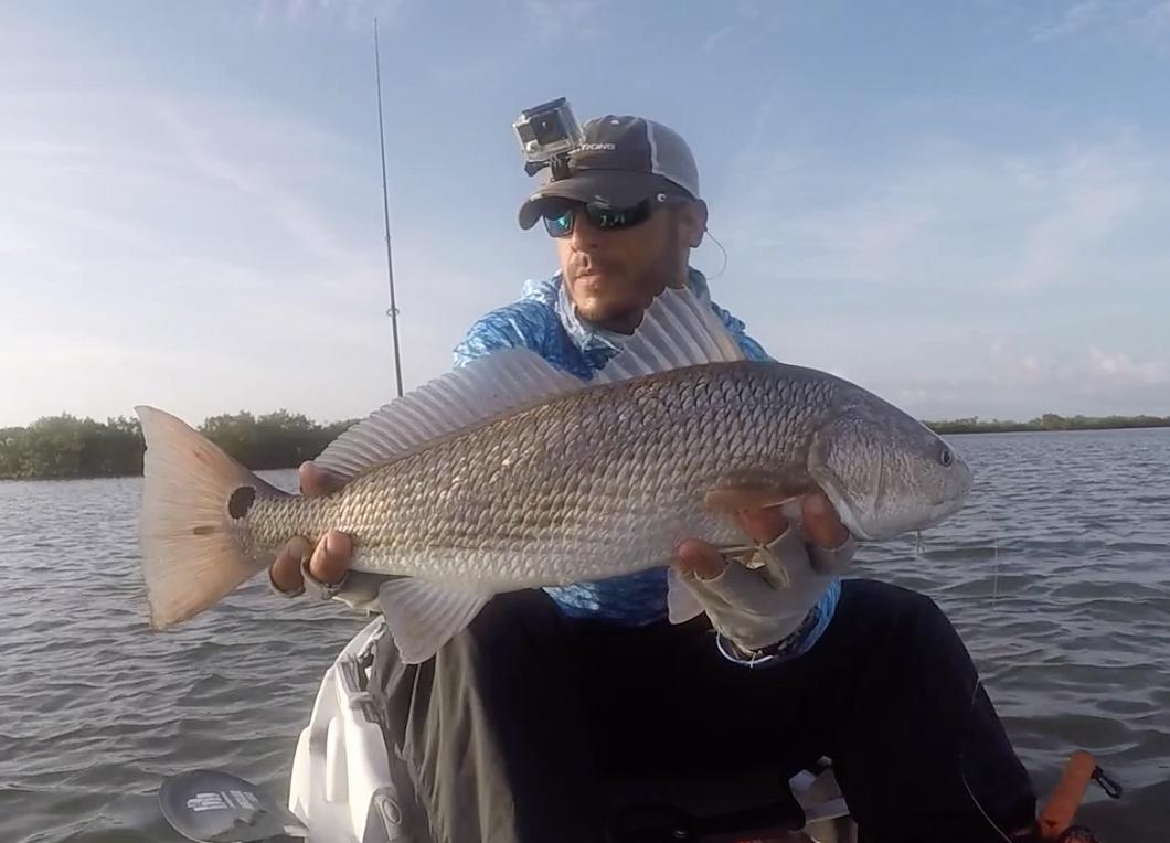 dead sticking for redfish