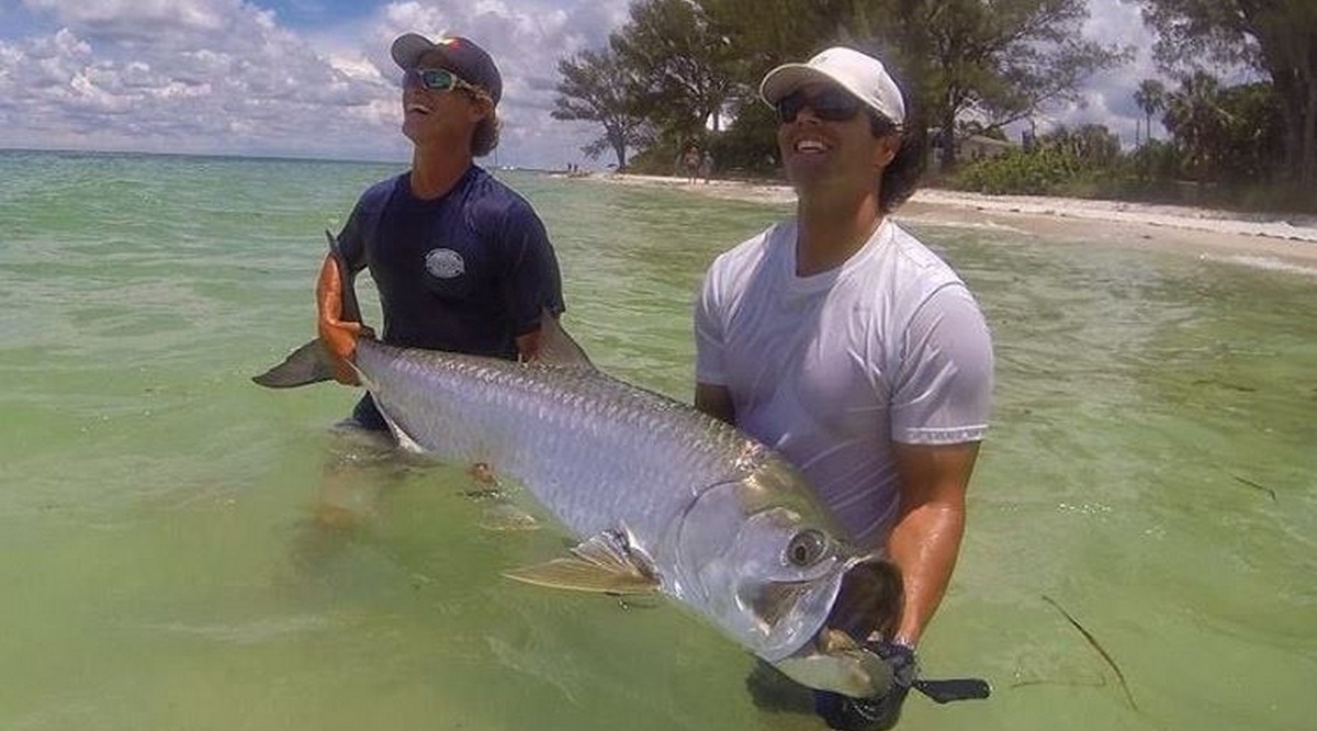 http://best%20tarpon%20pictures