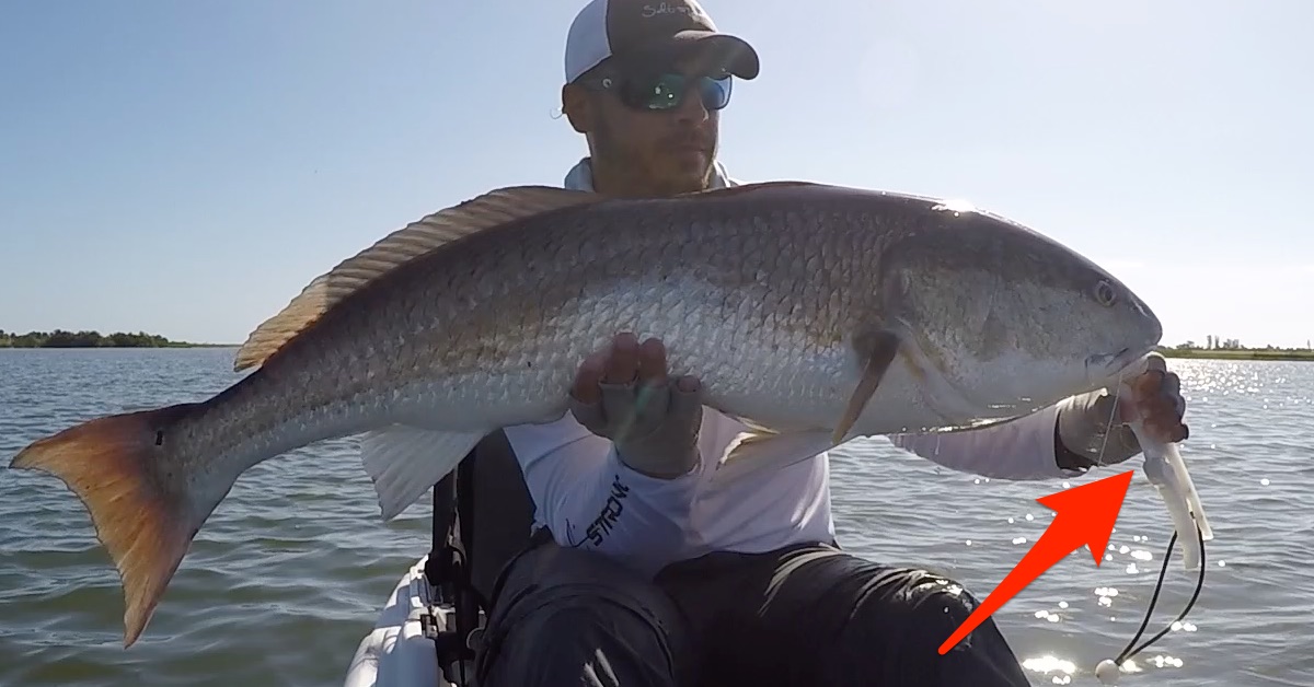 http://Fish%20Grips%20vs.%20Landing%20Nets%20Review