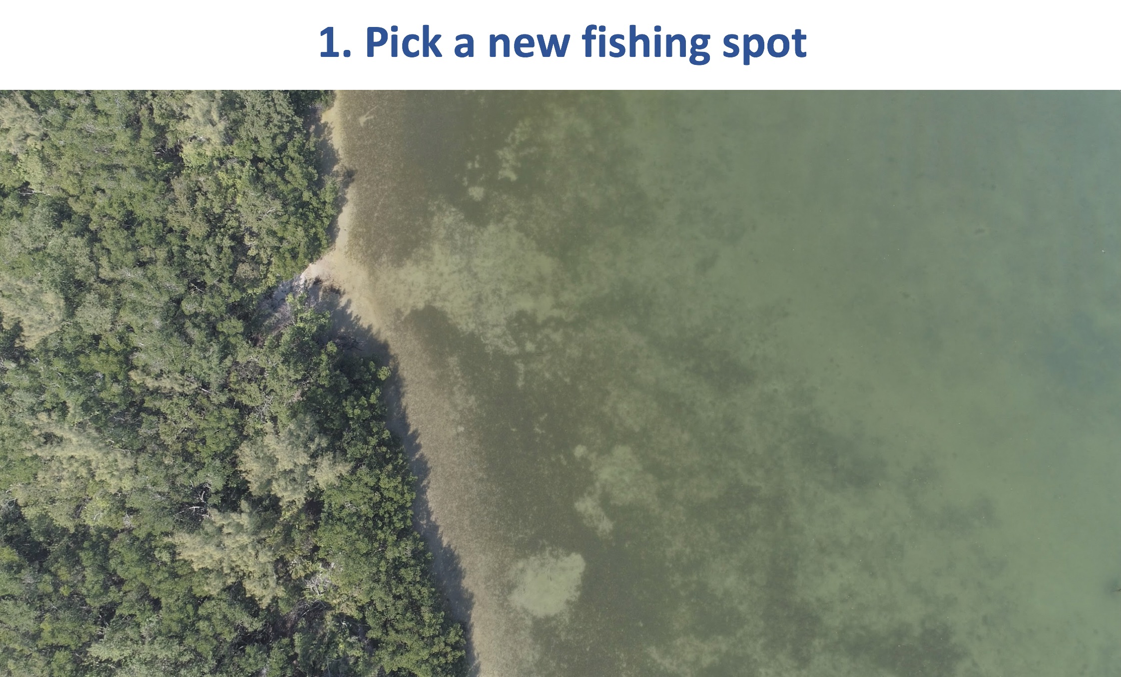 inshore saltwater fishing spots