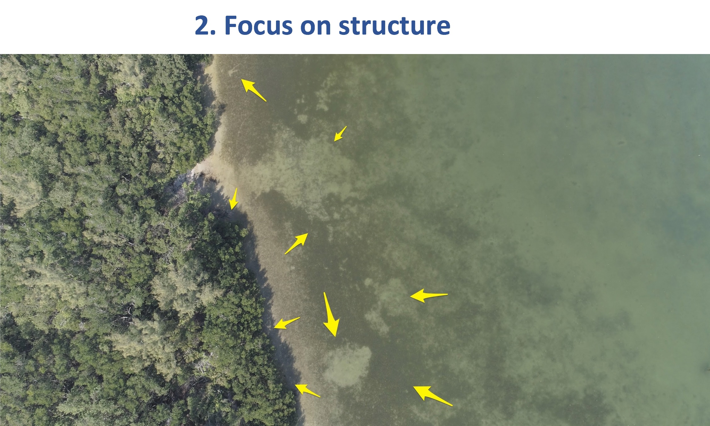 ninety-ten fishing rule