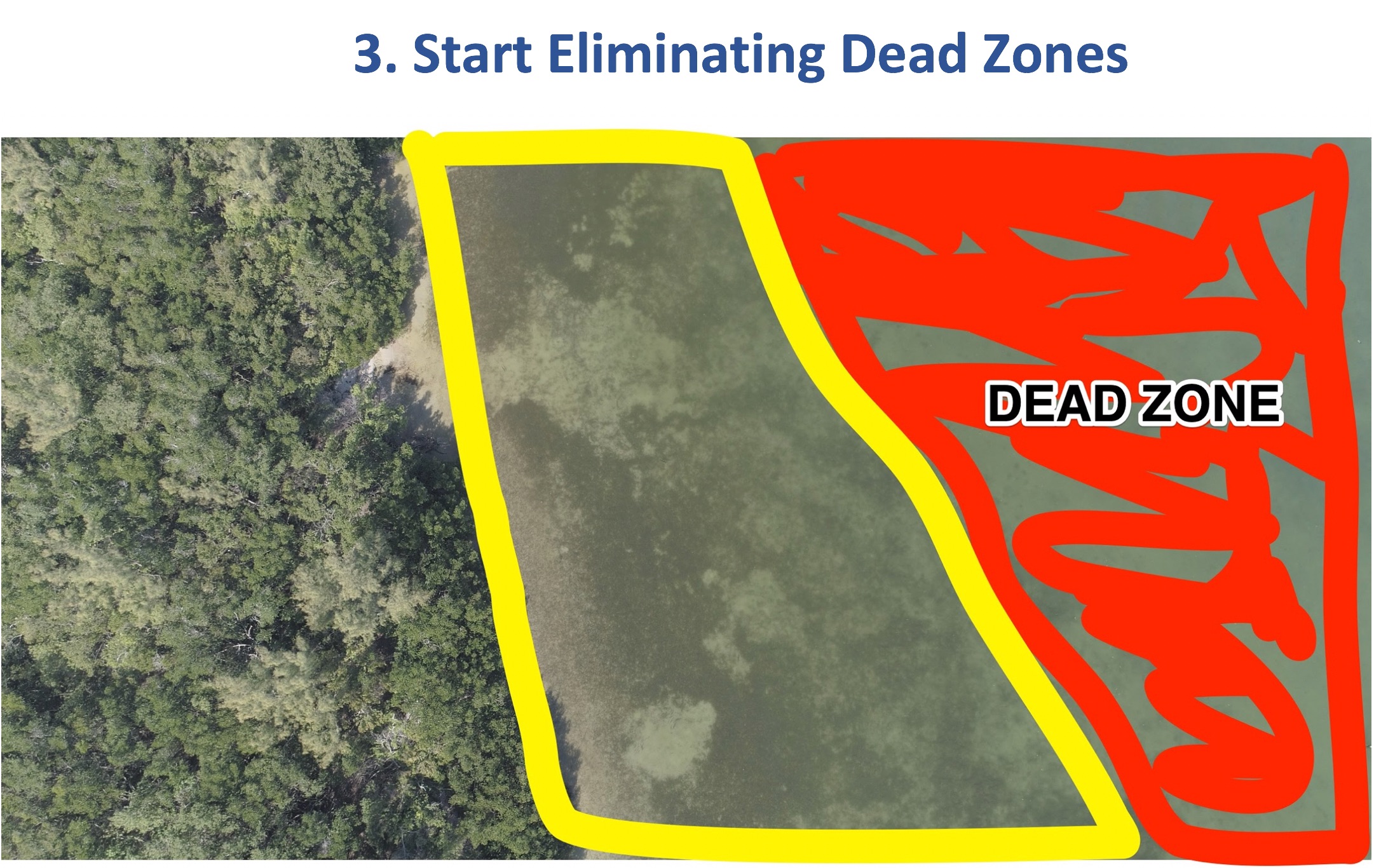 salt strong ninety-ten fishing rule