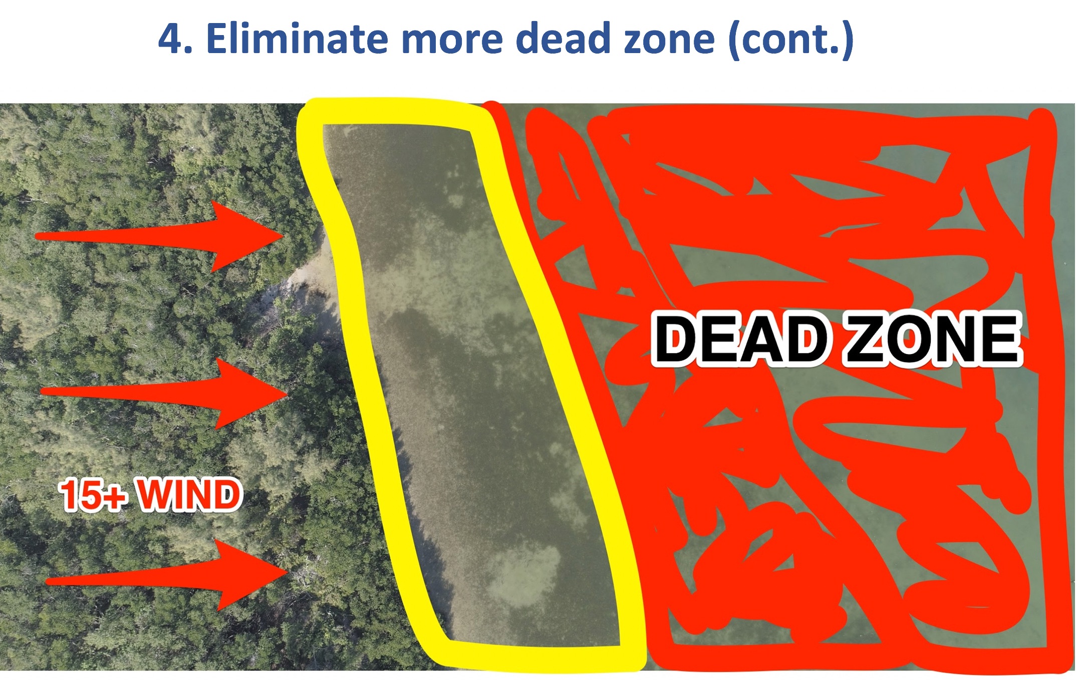 saltwater fishing 90/10 rule