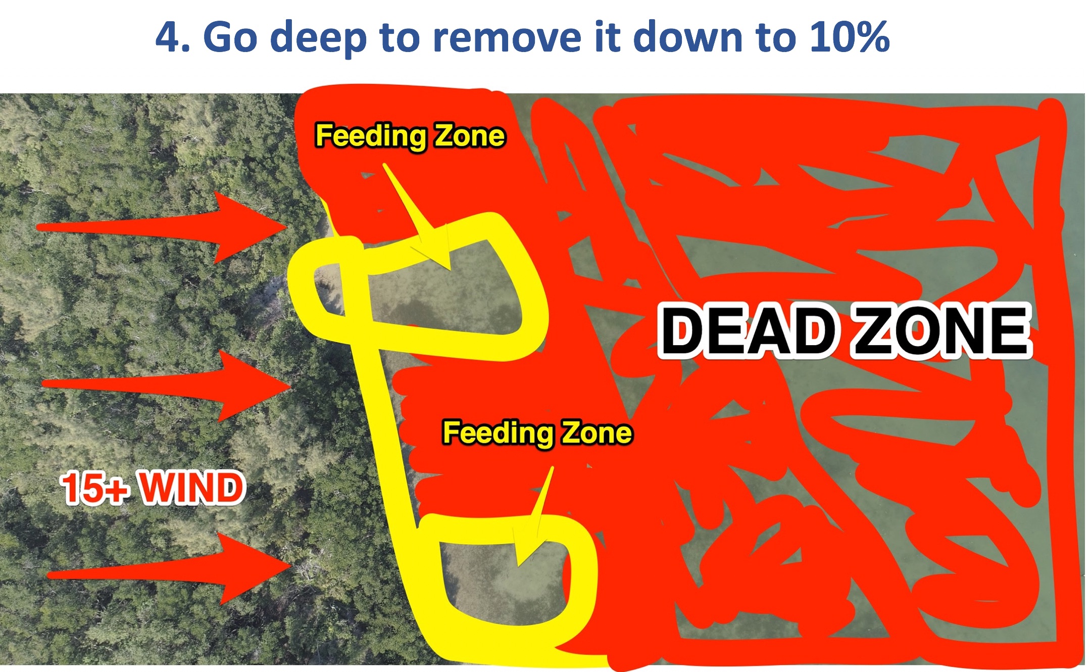 how to find new redfish spots