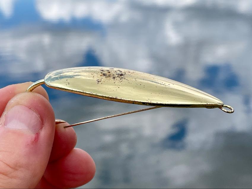 Best Saltwater Fishing Lures – Gold Spoon