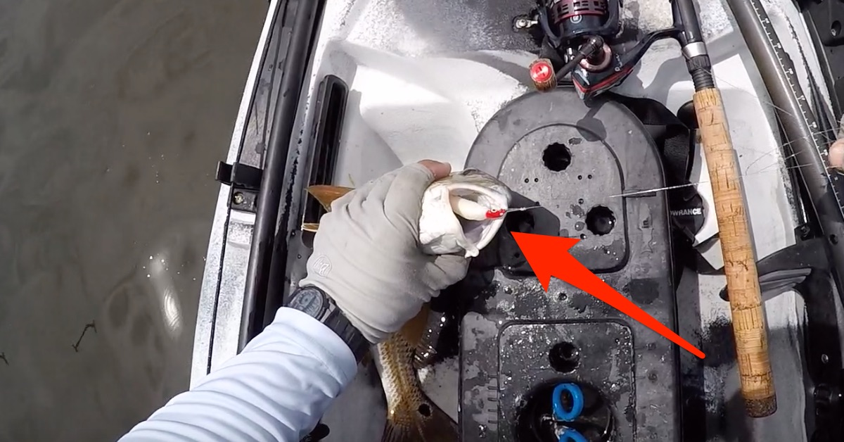 Gulp Swimming Mullet Catching Redfish