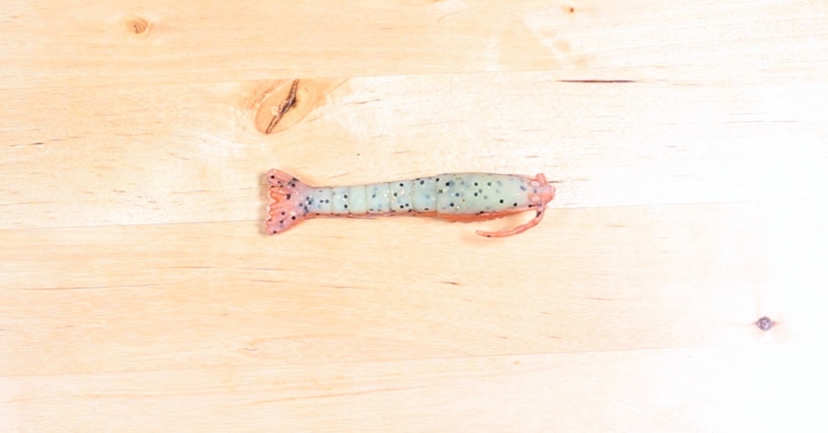 berkley gulp shrimp new penny