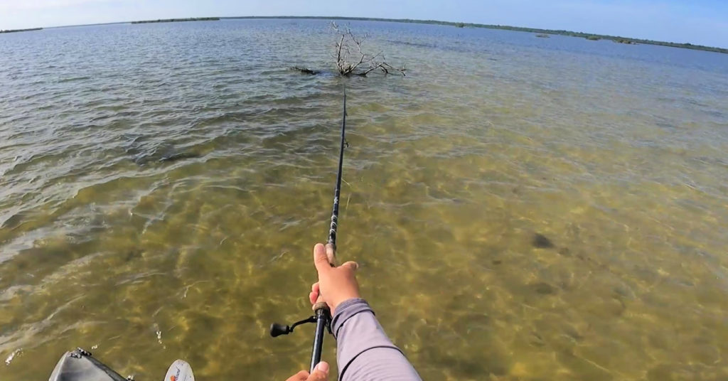 How to Read the Bottom (Light Vs. Dark)