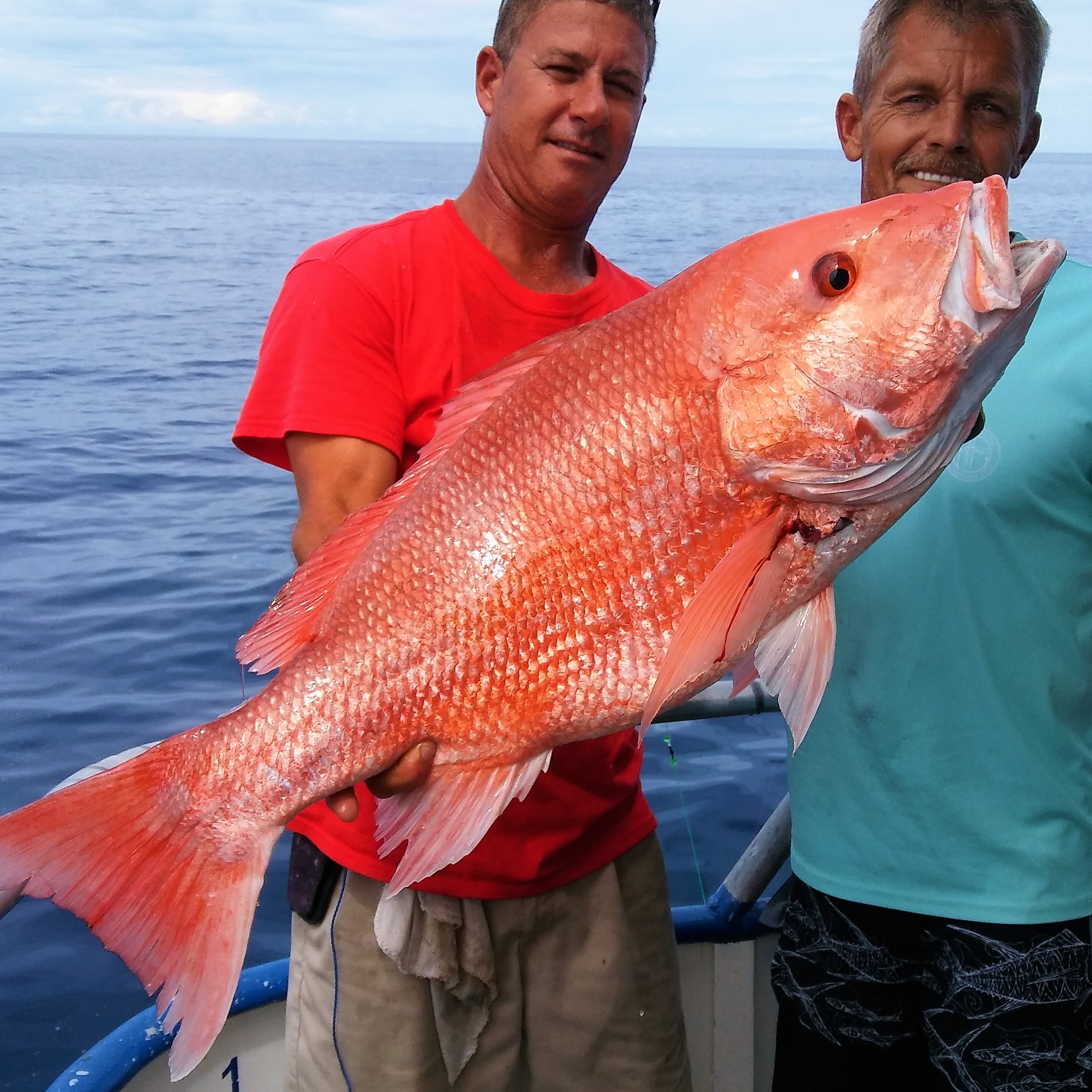 hubbards marina red snapper