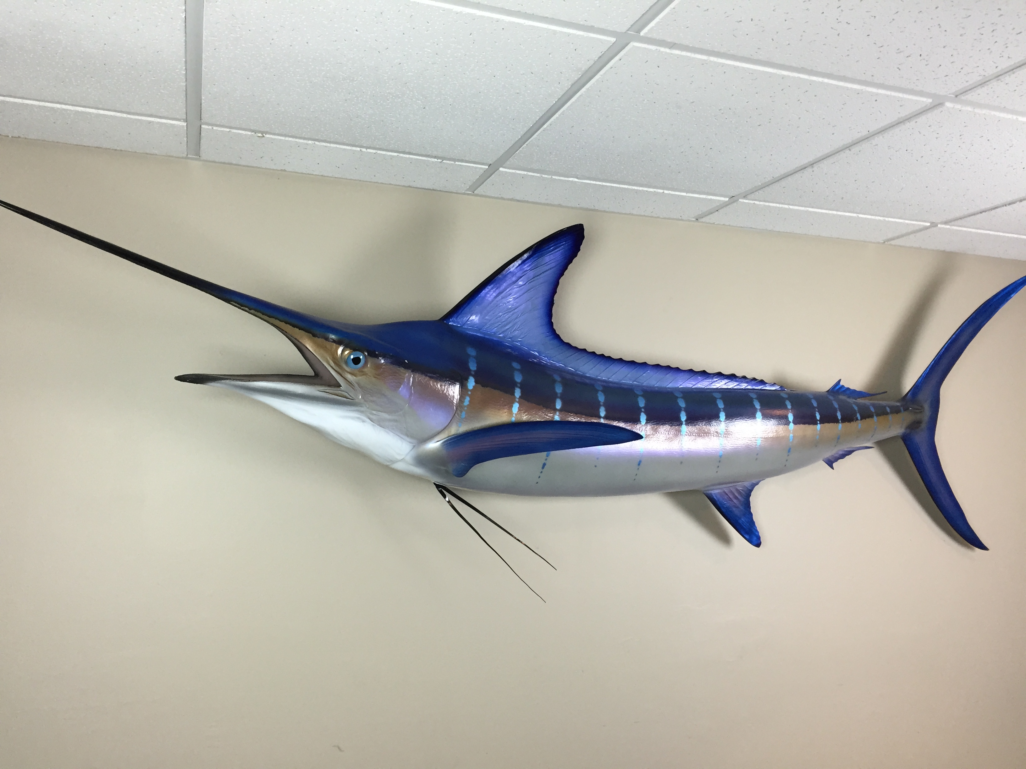 fishing guide marketing tip