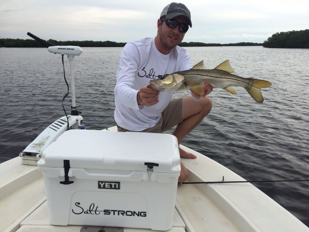 how to use the DOA Cal Shad