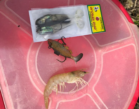 lures and bait for backcountry snook fishing