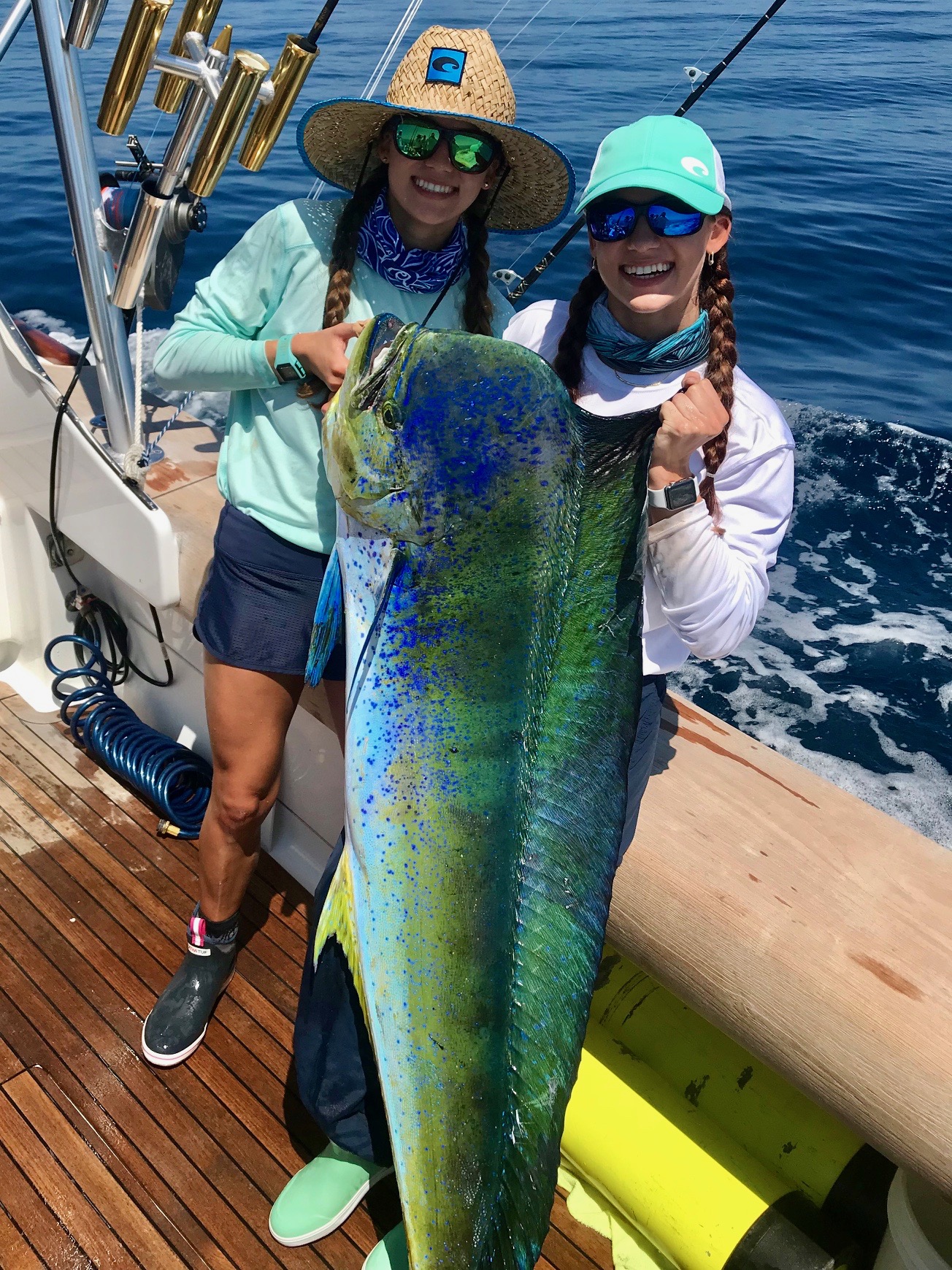 gale force twins mahi