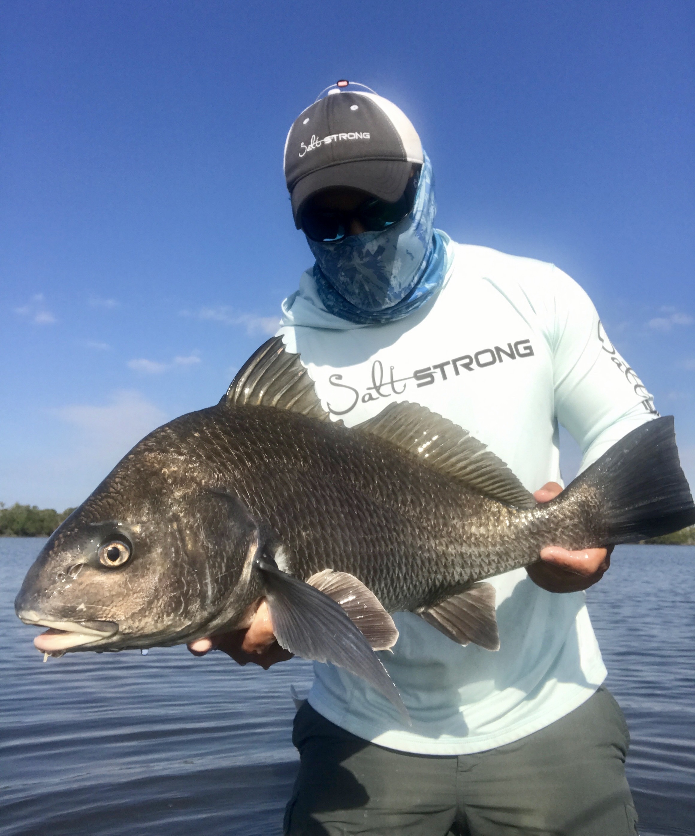 how to catch black drum