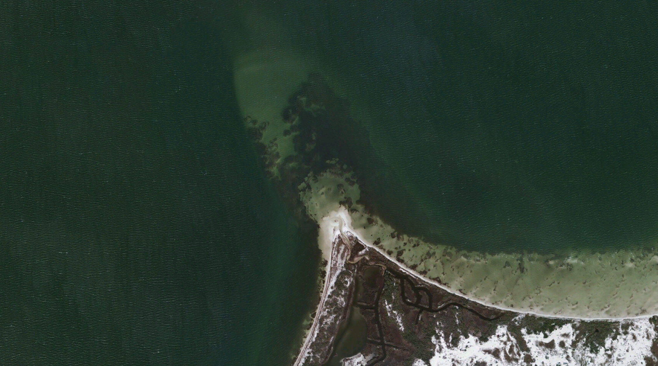 flounder fishing tips