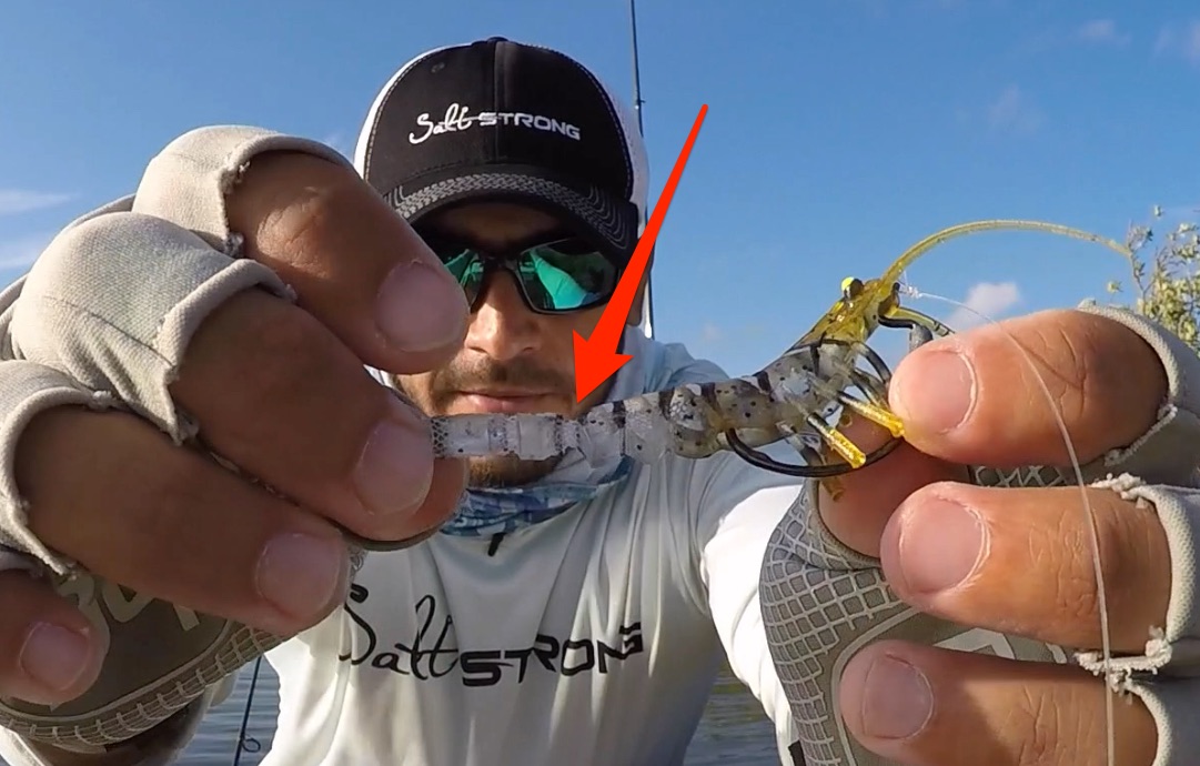 savage gear 3d shrimp