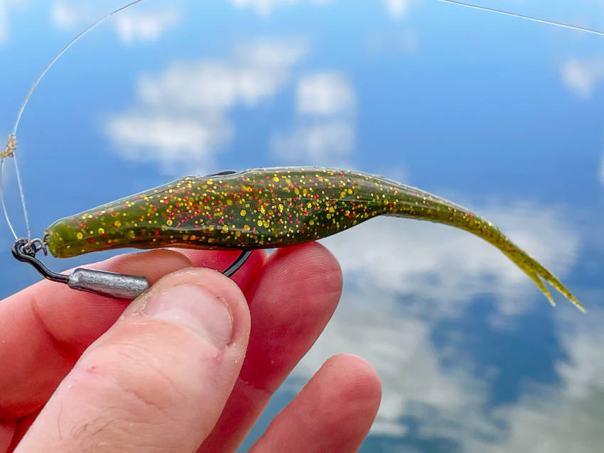 Best Saltwater Fishing Lures – Jerk Shad