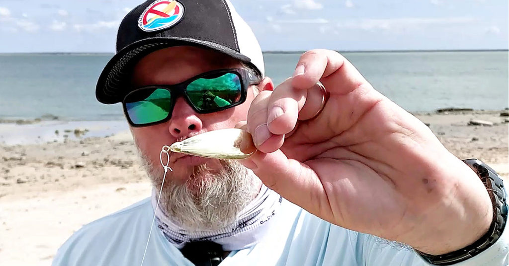 johnson silver minnow